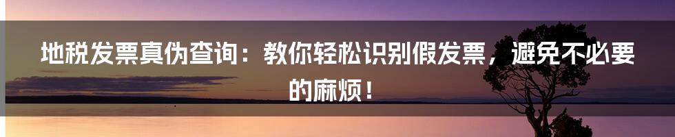 地税发票真伪查询:教你轻松识别假发票,避免不必要的麻烦!
