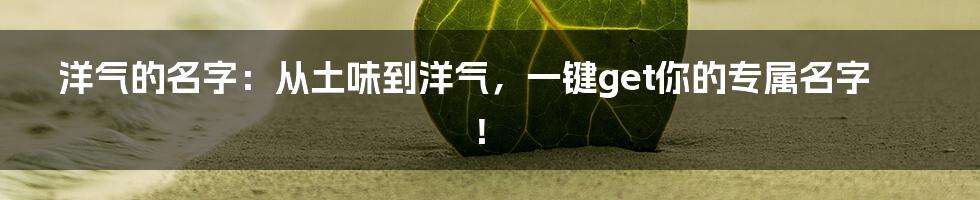 洋气的名字:从土味到洋气,一键get你的专属名字!