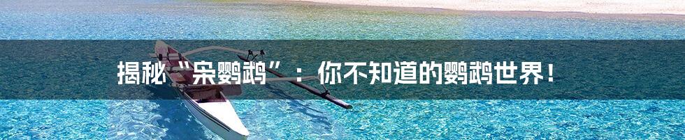 揭秘“枭鹦鹉”:你不知道的鹦鹉世界!