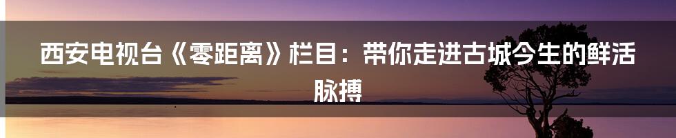 西安电视台《零距离》栏目:带你走进古城今生的鲜活脉搏