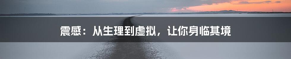 震感:从生理到虚拟,让你身临其境