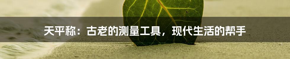 天平称:古老的测量工具,现代生活的帮手