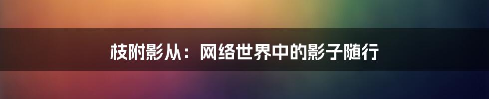 枝附影从:网络世界中的影子随行