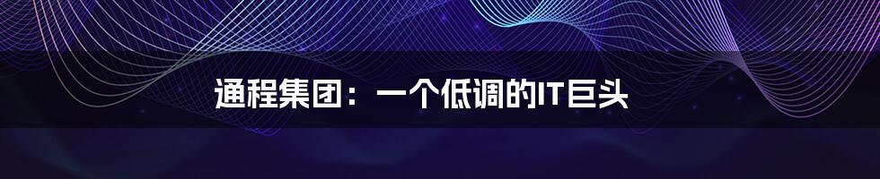 通程集团:一个低调的IT巨头