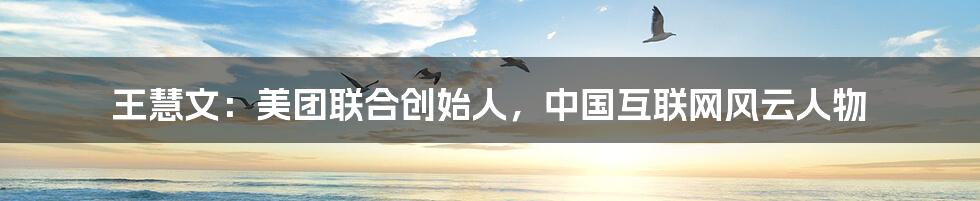 王慧文:美团联合创始人,中国互联网风云人物