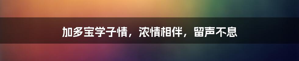 加多宝学子情,浓情相伴,留声不息