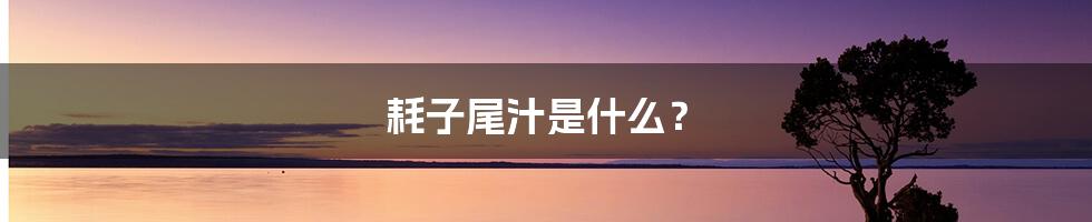 耗子尾汁是什么?