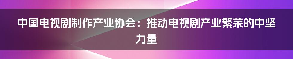中国电视剧制作产业协会:推动电视剧产业繁荣的中坚力量