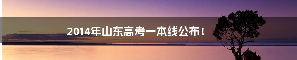 2014年山东高考一本线公布!