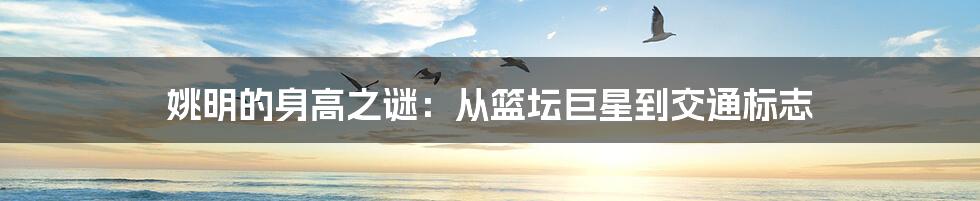 姚明的身高之谜:从篮坛巨星到交通标志