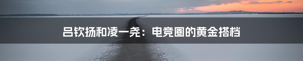 吕钦扬和凌一尧:电竞圈的黄金搭档