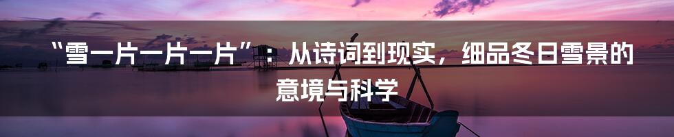 “雪一片一片一片”:从诗词到现实,细品冬日雪景的意境与科学