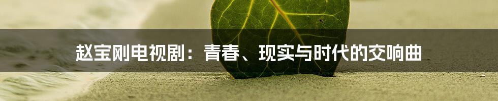 赵宝刚电视剧:青春、现实与时代的交响曲