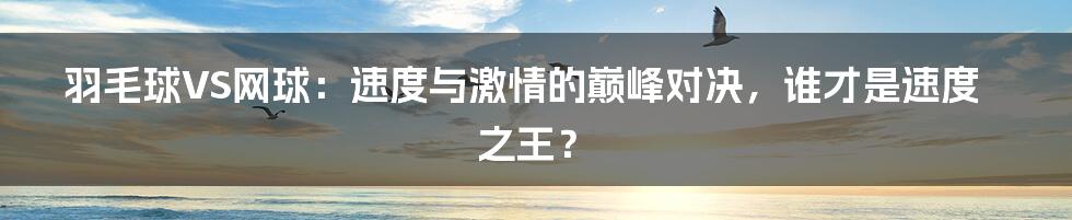 羽毛球VS网球:速度与激情的巅峰对决,谁才是速度之王?