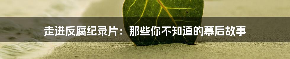 走进反腐纪录片:那些你不知道的幕后故事