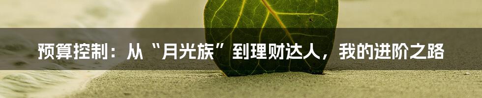 预算控制:从“月光族”到理财达人,我的进阶之路