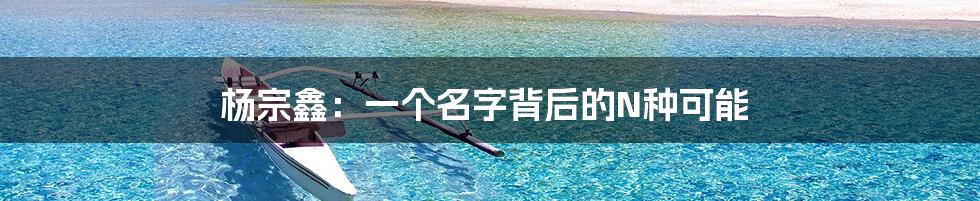 杨宗鑫:一个名字背后的N种可能