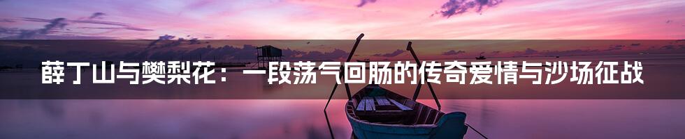 薛丁山与樊梨花:一段荡气回肠的传奇爱情与沙场征战