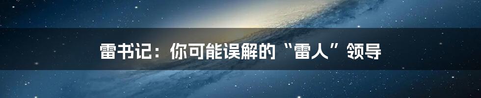 雷书记:你可能误解的“雷人”领导