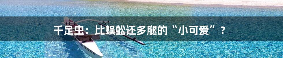 千足虫:比蜈蚣还多腿的“小可爱”?