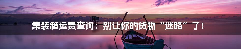集装箱运费查询:别让你的货物“迷路”了!