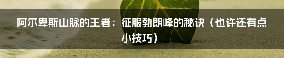 阿尔卑斯山脉的王者:征服勃朗峰的秘诀(也许还有点小技巧)