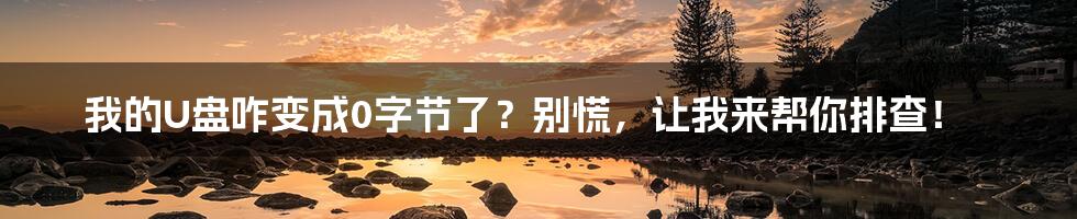我的U盘咋变成0字节了?别慌,让我来帮你排查!
