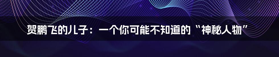 贺鹏飞的儿子:一个你可能不知道的“神秘人物”