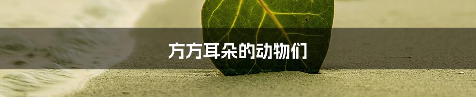方方耳朵的动物们