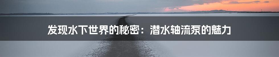 发现水下世界的秘密:潜水轴流泵的魅力