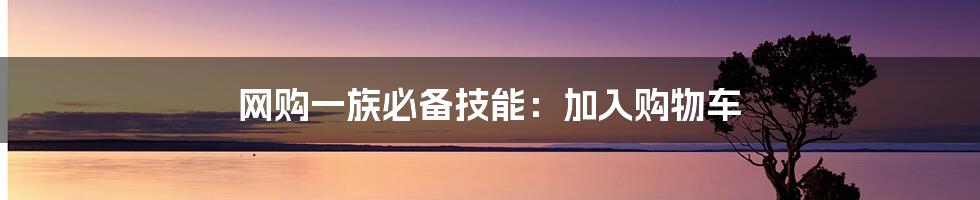 网购一族必备技能:加入购物车