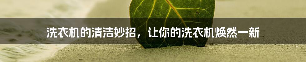 洗衣机的清洁妙招,让你的洗衣机焕然一新