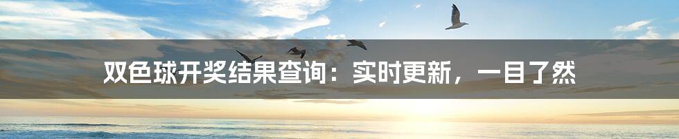 双色球开奖结果查询：实时更新，一目了然