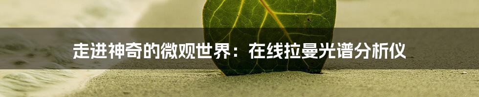 走进神奇的微观世界:在线拉曼光谱分析仪