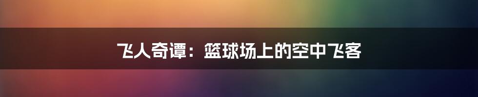 飞人奇谭:篮球场上的空中飞客