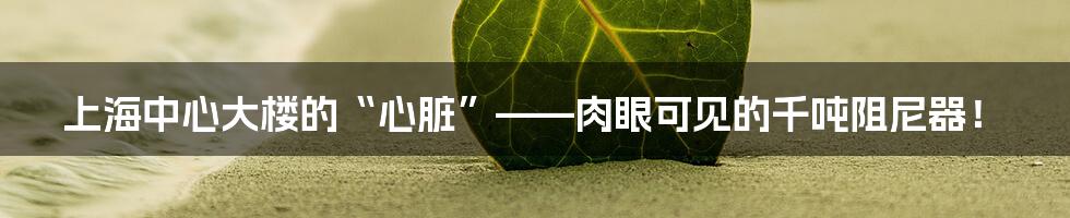上海中心大楼的“心脏”——肉眼可见的千吨阻尼器!