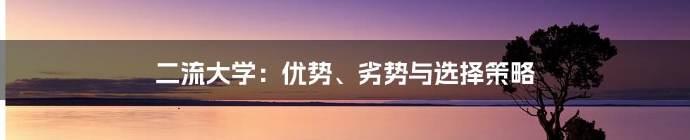 二流大学:优势、劣势与选择策略