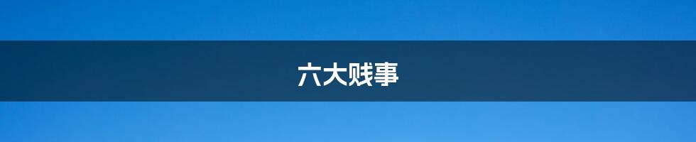 六大贱事