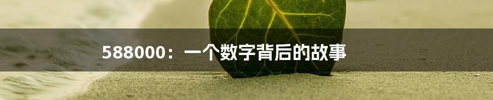 588000:一个数字背后的故事