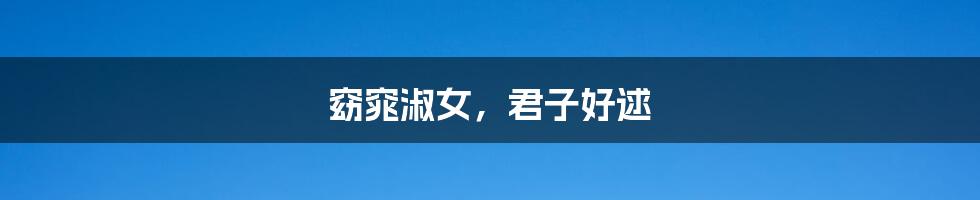 窈窕淑女,君子好逑