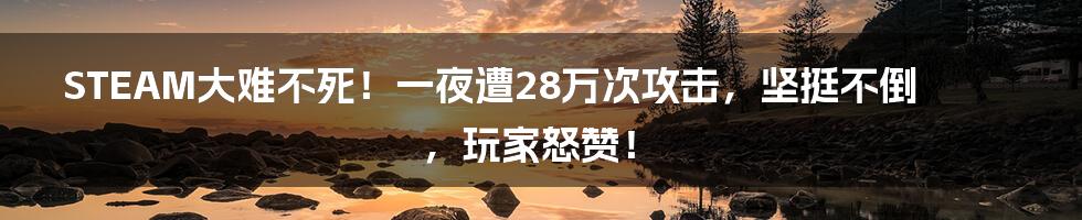 STEAM大难不死!一夜遭28万次攻击,坚挺不倒,玩家怒赞!