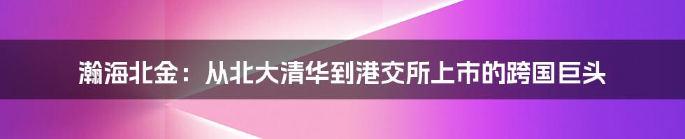 瀚海北金:从北大清华到港交所上市的跨国巨头