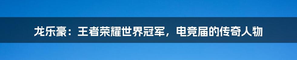 龙乐豪:王者荣耀世界冠军,电竞届的传奇人物