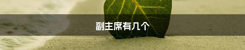 副主席有几个