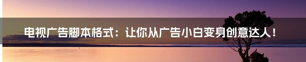 电视广告脚本格式:让你从广告小白变身创意达人!