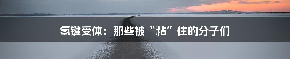 氢键受体:那些被“粘”住的分子们