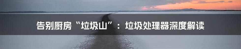 告别厨房“垃圾山”:垃圾处理器深度解读
