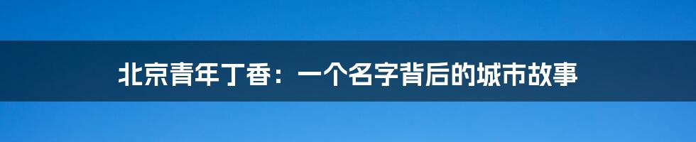 北京青年丁香:一个名字背后的城市故事