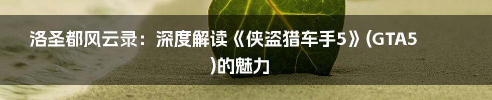 洛圣都风云录:深度解读《侠盗猎车手5》(GTA5)的魅力
