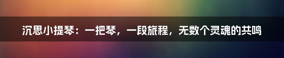 沉思小提琴:一把琴,一段旅程,无数个灵魂的共鸣